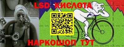 шишки Пенза