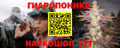 шишки Пенза