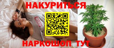 шишки Пенза