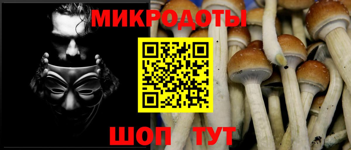 Псилоцибиновые грибы MAGIC MUSHROOMS Сосновый Бор